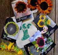 Sunflower Selection (with gift bag)