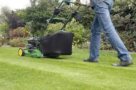 4446 shop.com uk results found for gardening tools, gardening & lawn care, garden. 12 Tips For Better Lawn Mowing Bbc Gardeners World Magazine