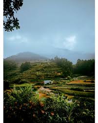 Landscape Design Software Free 8159 20200513214955 65 Landscape Design Software Free Landscape Design Software Landscape