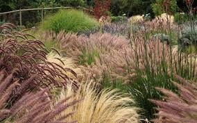 Sind Diese Chilenischen Garten Kunftig Ein Vorbild Fur Uns Ich Sage Ja Stilvolles Design Einfach Gepflanzt In 2020 Pflanzen Garten Mediterrane Pflanzen