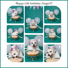 Happy Birthday Ginger Meme Guy