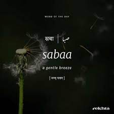 Pin By Ariba On Word Of The Day Urdu Words With Meaning Urdu Love Words Hindi Words