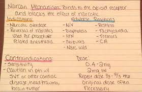 12 pharmacology flashcards for nurses. The Time Machine Quotes With Page Numbers Quizlet 7 Amazing Live Edtech Tools To Gamify Your Classroom Bookwidgets Dogtrainingobedienceschool Com