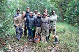 Image result for Oxyanthus goetzei