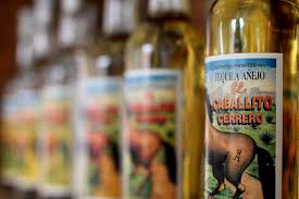 20 amazing dishes and drinks to help cure that hangover. 10 Mexican Hangover Cures You Still Need To Try