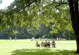 8 best things to do in muelheim an der ruhr germany germany europe travel things to do