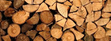 This place will vary depending upon what time of year you are gathering firewood. Firewood Delivery For Sale In Toronto And Gta Tree Doctors Inc