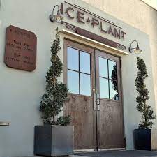 My Paisley World A Fabulous Lunch At St Augustine Florida S Ice Plant Ice Plant St Augustine At St