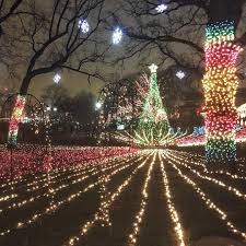 Jena Gambaccini On Instagram Zoo Lights Zoo Lights Lights Instagram Posts