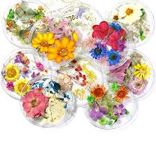 Decoración y equipamiento para tiendas! Unas Decoraciones Natural Hoja Floral 3d Arte De Unas Disenos Mixtos Flores Pegatinas Buy Flores Secas Pegatinas Unas Flores Natural Floral Decoracion De Hojas Product On Alibaba Com
