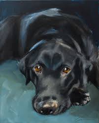 Here you will find the greatest selection of akc puppies for sale along with specialty and hybrid breeds. Pet Portraits Wilmington Dogs Breed Clair Hartmann Wilmington Nc North Carolina Sun Gallery And Gifts Guy Pu Dog Paintings Animal Paintings Animal Art