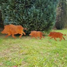 Wildschwein Frischling Wildschwein Wild Schwein