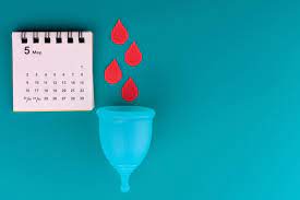 What Is Menstruation Explain With Example Peace X Peace