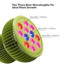 In the led grow light, there are 12 small light bulbs fitted in. Taotronics Review Are These Cheapest Led Grow Lights Worth It