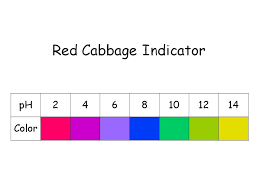 Ph Scale For Red Cabbage Red Cabbage Cabbage Red