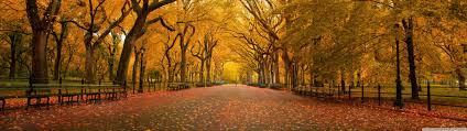 We have 87+ background pictures for you! Autumn Wallpaper 4096x1152 Id 35275 Wallpapervortex Com
