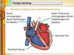 Check spelling or type a new query. T3 Bab 3 Pengangkutan 3 Camelia Science Quizizz