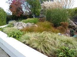 Native Planting And Low Maintenance Designs Low Maintenance Garden Design Garden Landscape Design New Zealand Native Garden