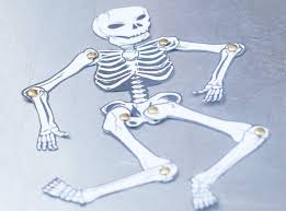 Soal ulangan harian tematik tema 1 organ gerak hewan dan manusia subtema 1 organ gerak hewan dilengkapi dengan kunci jawaban. Kunci Jawaban Sd Kelas 4 6 Organ Gerak Hewan Dan Manusia