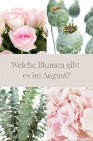 Und gerade zu einer hochzeit möchte man ja gern etwas 3 kommentare zu die blume. Welche Blumen Gibt Es Im August Schnittblumen Saison Kalender Blumen August Hochzeit August Blumen Saison Blumen