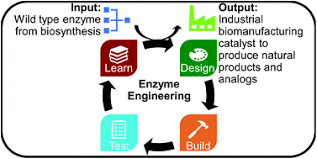 Average rating:5out of5stars, based on1reviews1ratings. Engineering Biosynthetic Enzymes For Industrial Natural Product Synthesis Natural Product Reports Rsc Publishing