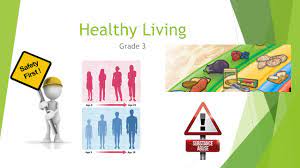 In most cases, health insurance is provided by your employer, although you usually have to pa. Healthy Living Grade 3 Healthy Living Grade 3 The Four Strands Of Healthy Living In Every Grade Are Healthy Eating Personal Safety And Injury Ppt Download