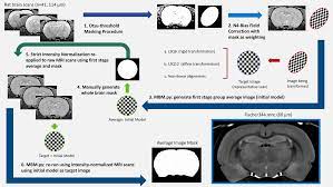 Classify subcellular protein patterns in human cells. An Mri Derived Neuroanatomical Atlas Of The Fischer 344 Rat Brain Scientific Reports