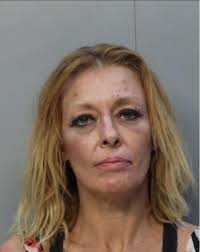 JOHNSON, CRYSTAL KAY Charges: POSS UNLAW DRUG PARAPHERNALIA USES &  ACTIVITIES This information and more is available at  https://sheriff.knoxcountytn.gov