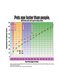 Pet Aging Chart Edit Fill Sign Online Handypdf