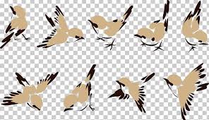 House Sparrow Bird Png Clipart Beak Carnivoran