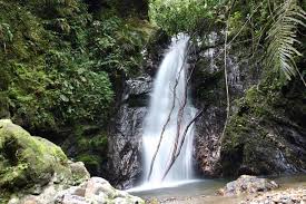 Tidak sedikit wisatawan yang meminum langsung air dari alam ini. Lagenda Air Terjun Lata Kijang Negeri Sembilan Puyubuntal