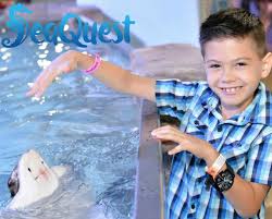 Deal Seaquest Ultimate Weekday Experience Package Certifikid