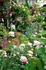 20 Perfect Rose Garden Ideas You Must See Right Now Rose Garden Design Cottage Garden May Garden
