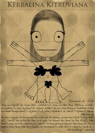 Proportions of the eye