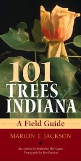 Common names for this tree are many and colorful—including cigar tree, indian bean tree. 101 Trees Of Indiana A Field Guide Indiana Natural Science Jackson Marion T Harrington Katherine 9780253216946 Amazon Com Books