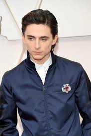 Timothee Chalamet S Prada Suit At The 2020 Oscars Popsugar Fashion