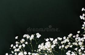 Bee's flowers has a large selection of gorgeous floral arrangements and bouquets. Small White Flowers Wedding Bouquet Dark Background Stock Photo Image Of Bloom Design 141877026