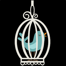 Terms of use can be found within your downloads or by clicking here. Bird In Bird Cage Svg Files For Cutting Machines Bird Svg File Birdcage Svg File Free Svgs