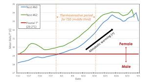 A new study examines the scale of the trade in endangered hawksbill sea turtle shells over the span of nearly 150 years. Research Projects Collaborations Andrew S Maurer