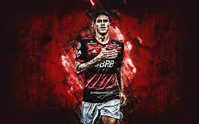 Download hd wallpapers for free hd flamingo wallpapers. Herunterladen Hintergrundbild Pedro Guilherme Flamengo Brasilianischer Fussballspieler Hintergrund Aus Rotem Stein Serie A Brasilien Fussball Cr Flamengo Fur Desktop Kostenlos Hintergrundbilder Fur Ihren Desktop Kostenlos