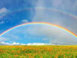 Man spricht aber doch von den 7 farben des regenbogens. Warum Hat Der Regenbogen Verschiedene Farben