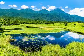 Exploring Shiretoko National Park | Rakuten Travel