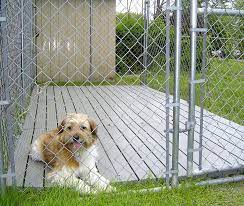 Stone and tile flooring is another perfect floor option for those people with multiple pets. Outdoor Dog Kennels Reviews Guides Outdoor Dog Kennels Ideas 2021