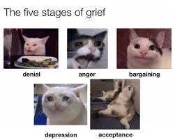 We did not find results for: Dopl3r Com Memes The Five Stages Of Grief Bargaining Denial Anger Acceptance Depression