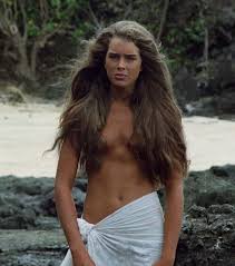 This brooke shields photo might contain bouquet, corsage, posy, and nosegay. Young Naked Brooke Shields Pornvl