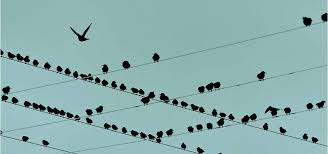 Termination, layoff, dismissal and resignation. A Better Fairer Approach To Layoffs