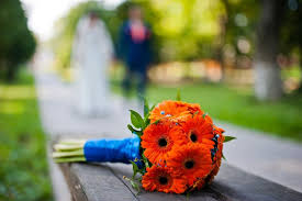 An order of red gerbera daisy wedding bouquets usually includes not only a small bouquet of a bride, but also a boutonniere from the same collection, which makes the image of newlyweds uniform, flowers in a girls hairdress guarantee the perfection of an image, the brides duplicate bouquet will be used for. Gerbera Daisy Bridal Bouquets Lovetoknow