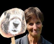 The Marmot Messenger