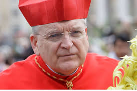 Sobre o Papa Francisco já quase tudo foi dito. E eu, que nunca estive na  sua presença, sinto que não há nada que possa escrever que acrescente  alguma coisa. Mas sabem, desde