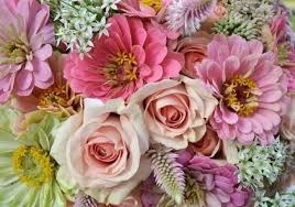 View sympathy flowers from brandon florists. Iva Stinson Obituary Jackson Ms